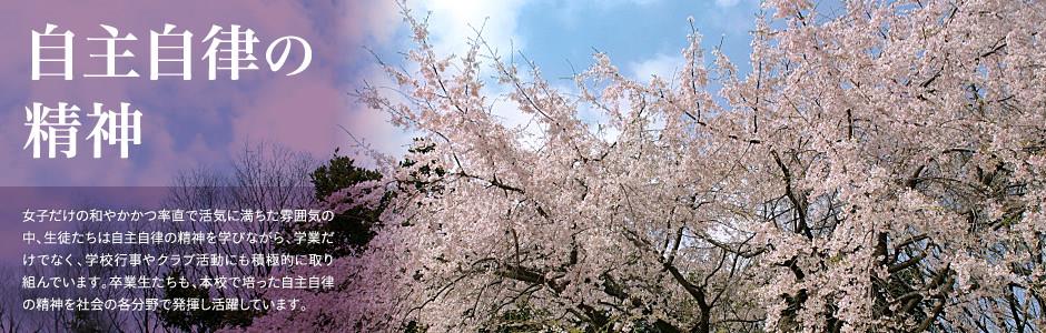 天天好彩944cc全站登录