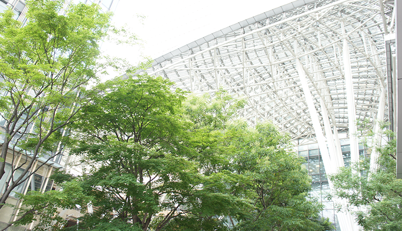 云顶国际 渡辺この人（長谷川）は、年齢を重ねれば重ねるほどおもしろくなりますよ